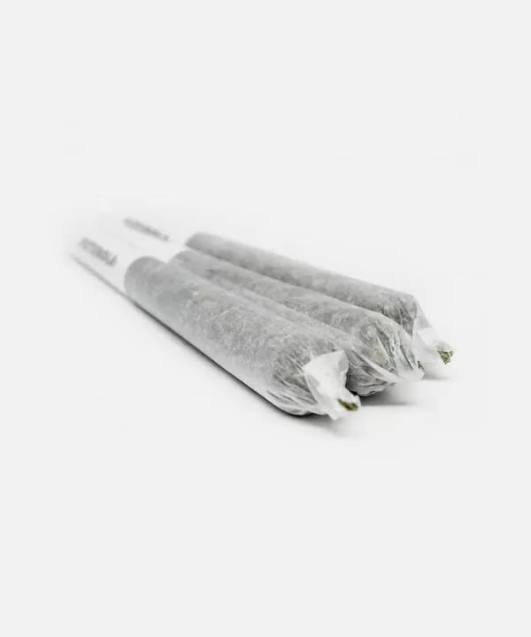 Girl Scout Cookies PreRolls The Capitol Dispensary