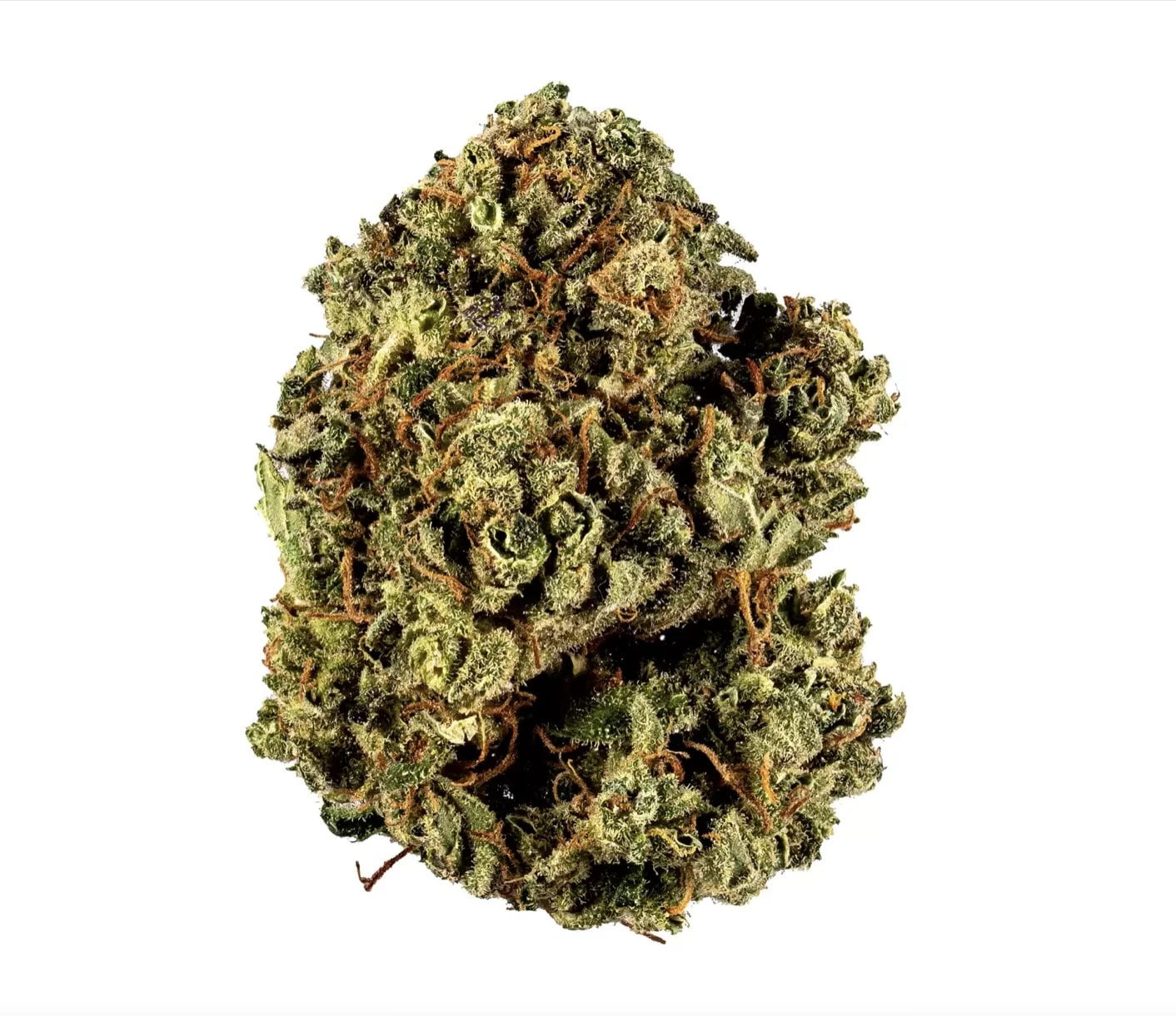 Laughing Buddha - Premium Marijuana Strain - The Capitol Dispensary ...